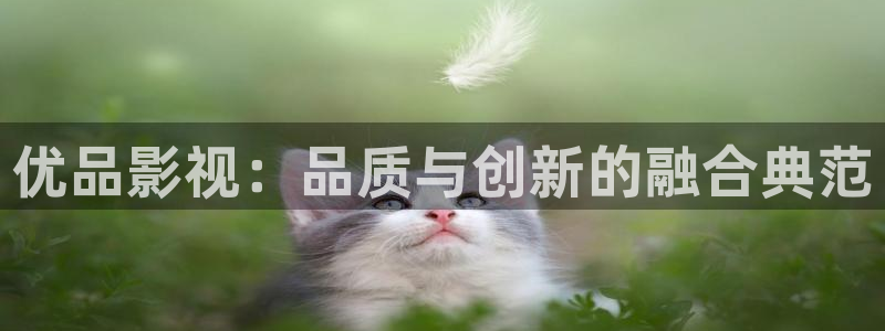 木瓜影剧院：优品影视：品质与创新的融合典范