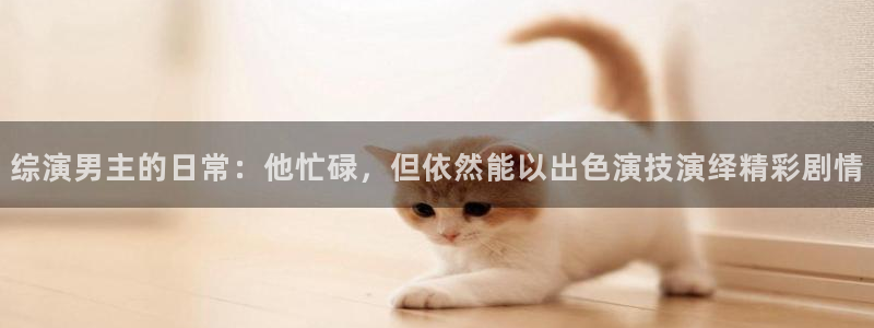 木瓜影院免费观看电视连续剧：综演男主的日常：他忙碌，但依然能以出色演技演绎精彩剧情