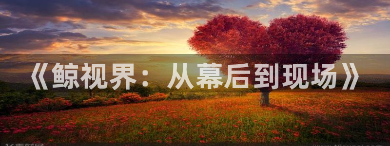 木瓜木瓜影院：《鲸视界：从幕后到现场》