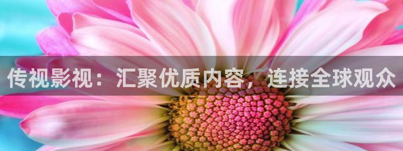 木瓜影院tv：传视影视：汇聚优质内容，连接全球观众