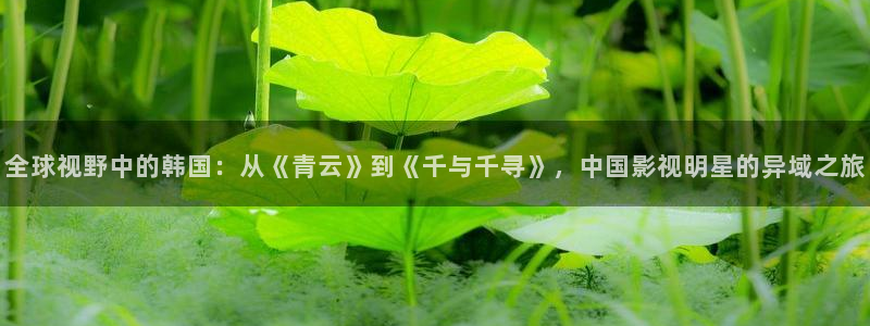 木瓜影院午夜剧场：全球视野中的韩国：从《青云》到《千与千寻》，中国影视明星的异域之旅