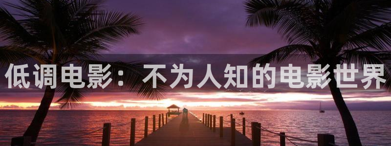 木瓜免费影院：低调电影：不为人知的电影世界