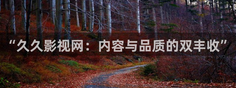 木瓜电影网站在线观看：“久久影视网：内容与品质的双丰收”
