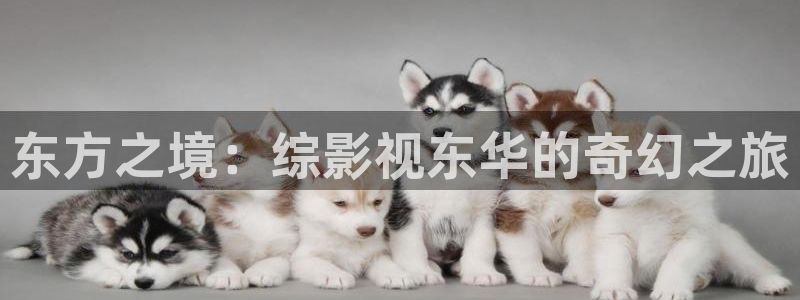 木瓜影院高清影院