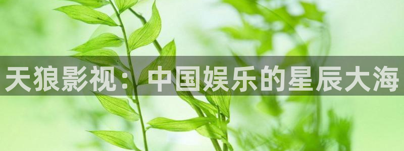 木瓜视频在线