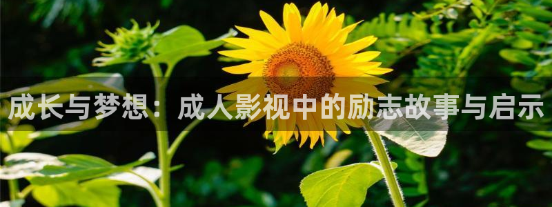 木瓜视频木瓜影视在线观看